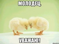 молодец, уважаю!