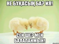 Не бұқасың ба? Ия! Сен ше? Мен балапанмын!