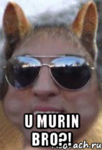  U MURIN BRO?!