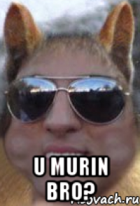  u murin bro?
