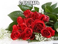с др тварь :*