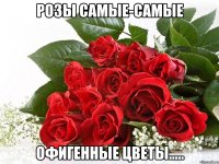 РОЗЫ САМЫЕ-САМЫЕ ОФИГЕННЫЕ ЦВЕТЫ.....