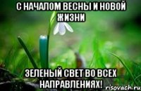 с началом весны и новой жизни зеленый свет во всех направлениях!