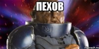 Пехов 