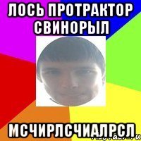 Лось протрактор свинорыл мсчирлсчиалрсл