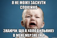 Я не можу заснути спокійно Знаючи, що в холодильнику в мене мерзне їжа