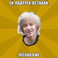 Ей, падруга, вставай, лісова вже