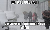шло 48 февраля эту зиму мы доживали как могли