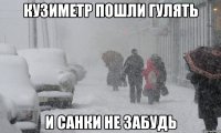кузиметр пошли гулять и санки не забудь