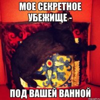 МОЕ СЕКРЕТНОЕ УБЕЖИЩЕ - ПОД ВАШЕЙ ВАННОЙ