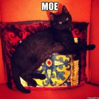 МОЕ 