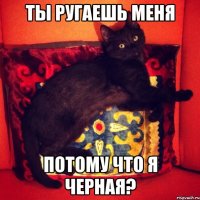 ТЫ РУГАЕШЬ МЕНЯ ПОТОМУ ЧТО Я ЧЕРНАЯ?