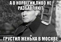 А в Норвегии пиво не разбавляют Грустил Женька в москве