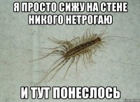Я просто сижу на стене никого нетрогаю И тут понеслось