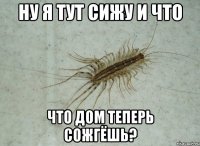 Ну я тут сижу и что Что дом теперь сожгёшь?