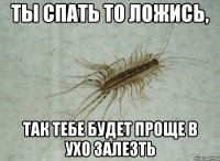 Ты спать то ложись, Так тебе будет проще в ухо залезть