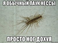 Я обычный паук нессы Просто ног дохуя