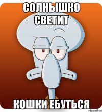 солнышко светит кошки ебуться