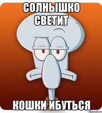 солнышко светит кошки ибуться