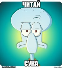 читай сука