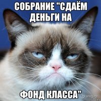 Собрание "Сдаём деньги на фонд класса"