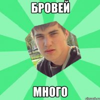 Бровей много