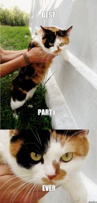 BEST PARTY EVER