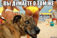 ВЫ ДУМАЕТЕ О ТОМ ЖЕ 