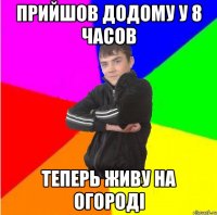 Прийшов додому у 8 часов Теперь живу на огородi