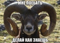 МНЕ ПОЕБАТЬ ДЕЛАЙ КАК ЗНАЕШЬ