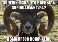 Хочешь в зал что бы была хорошая фигура? Дома пресс покачаешь