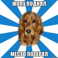жопу поднял место потерял
