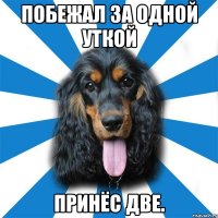 побежал за одной уткой принёс две.