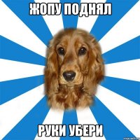жопу поднял руки убери