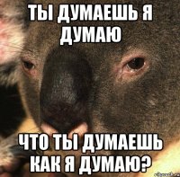 Ты думаешь я думаю что ты думаешь как я думаю?