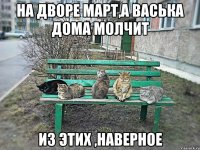 НА ДВОРЕ МАРТ,А ВАСЬКА ДОМА МОЛЧИТ ИЗ ЭТИХ ,НАВЕРНОЕ