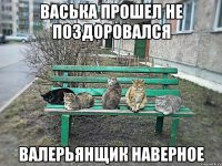 ВАСЬКА ПРОШЕЛ НЕ ПОЗДОРОВАЛСЯ ВАЛЕРЬЯНЩИК НАВЕРНОЕ