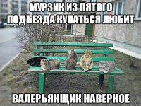 МУРЗИК ИЗ ПЯТОГО ПОДЪЕЗДА КУПАТЬСЯ ЛЮБИТ ВАЛЕРЬЯНЩИК НАВЕРНОЕ