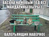 ВАСЬКА НА НОВЫЙ ГОД ВСЕ МАНДАРИНЫ ОБГРЫЗ ВАЛЕРЬЯНЩИК НАВЕРНОЕ