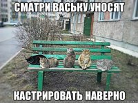 сматри ваську уносят кастрировать наверно