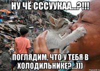 Ну чё СССУУКАА...?!!! Поглядим, что у тебя в холодильнике?...)))