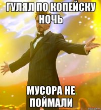 ГУЛЯЛ ПО КОПЕЙСКУ НОЧЬ МУСОРА НЕ ПОЙМАЛИ