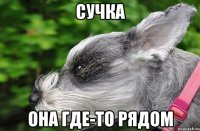 сучка она где-то рядом