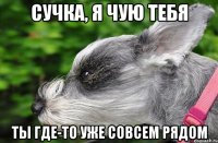 сучка, я чую тебя ты где-то уже совсем рядом