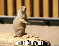  ОТКРОЙ ГРУППУ