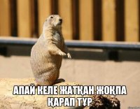  Апай келе жатқан жоқпа қарап тұр