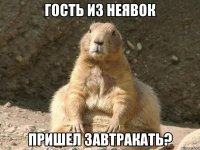 Гость из неявок пришел завтракать?