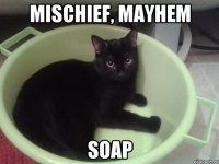 MISCHIEF, MAYHEM SOAP