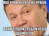 Мої руки нічого не крали вони тільки гребли усьо шо могли