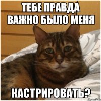тебе правда важно было меня кастрировать?